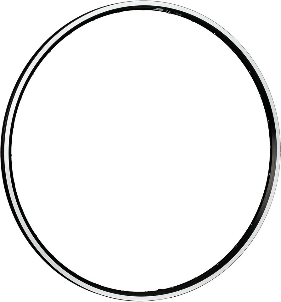 Mavic Jante A 319 28" – Image 2