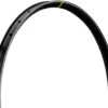 Mavic Jante EX 828 Disc 29"