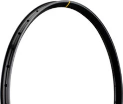 Mavic Jante EX 828 Disc 29"