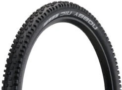 Schwalbe Pneu Souple Nobby Nic Performance ADDIX RaceGuard DD 29"
